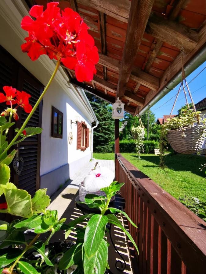 Orseg Kincse Guest House Hegyhatszentjakab Bagian luar foto