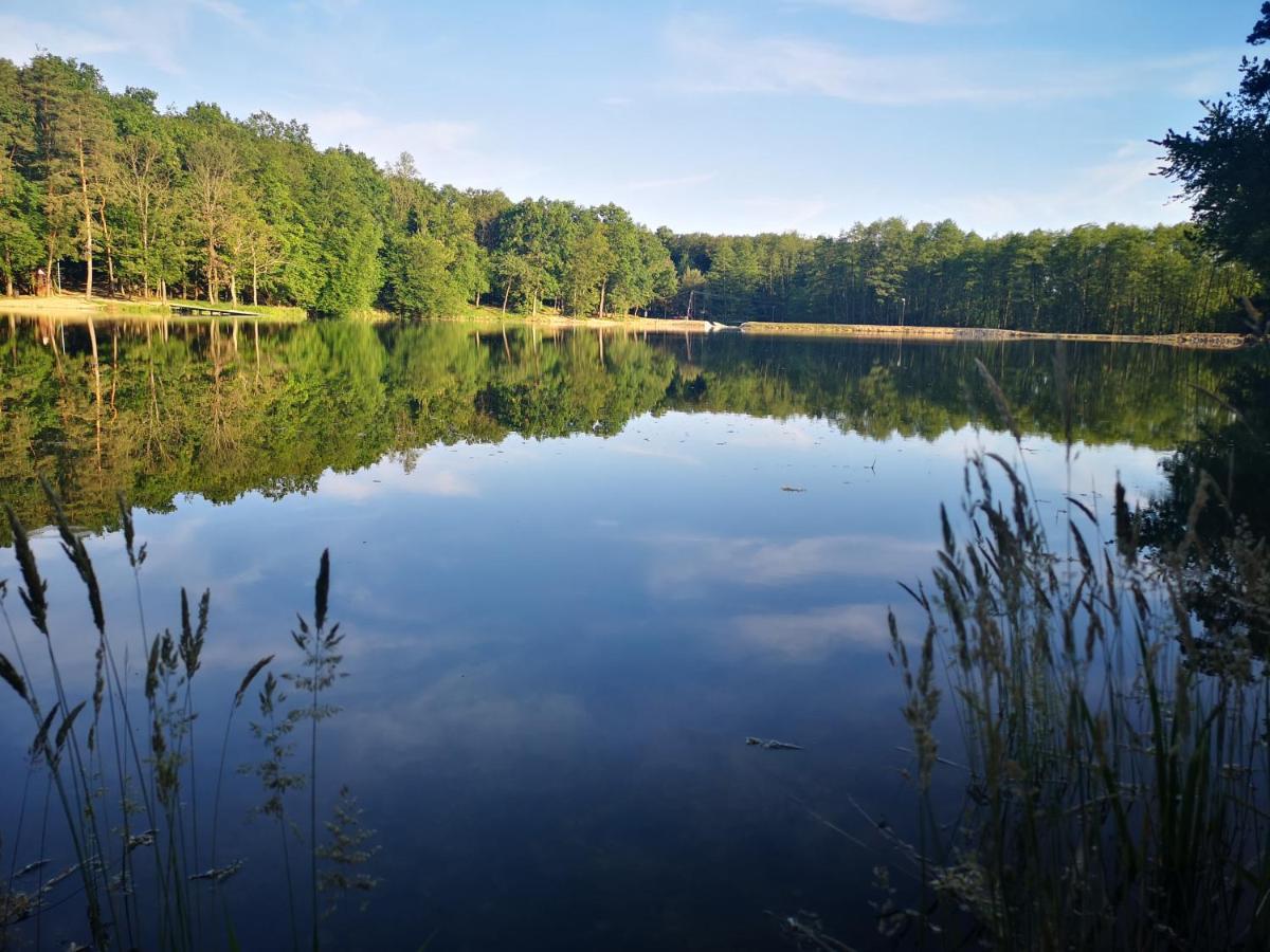 Orseg Kincse Guest House Hegyhatszentjakab Bagian luar foto