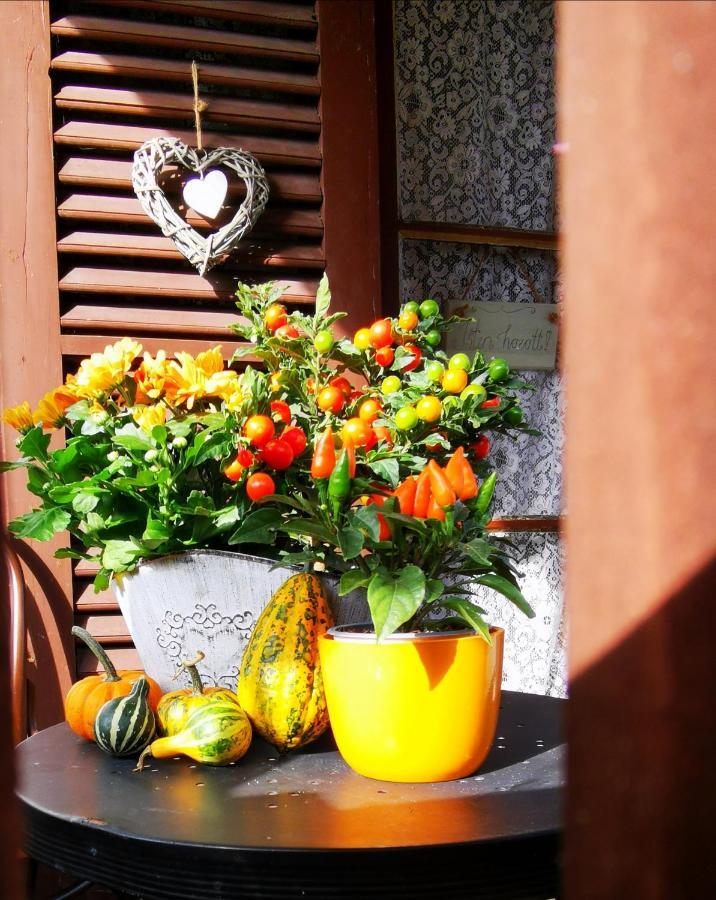 Orseg Kincse Guest House Hegyhatszentjakab Bagian luar foto