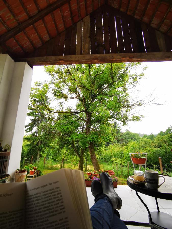 Orseg Kincse Guest House Hegyhatszentjakab Bagian luar foto