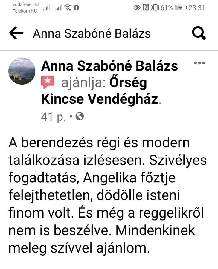 Orseg Kincse Guest House Hegyhatszentjakab Bagian luar foto