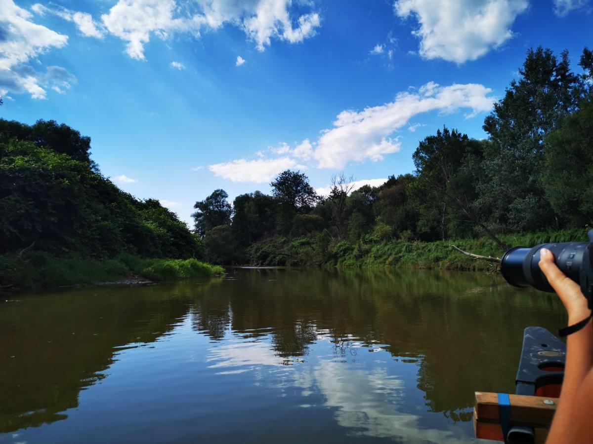 Orseg Kincse Guest House Hegyhatszentjakab Bagian luar foto