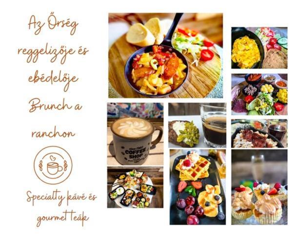 Orseg Kincse Guest House Hegyhatszentjakab Bagian luar foto